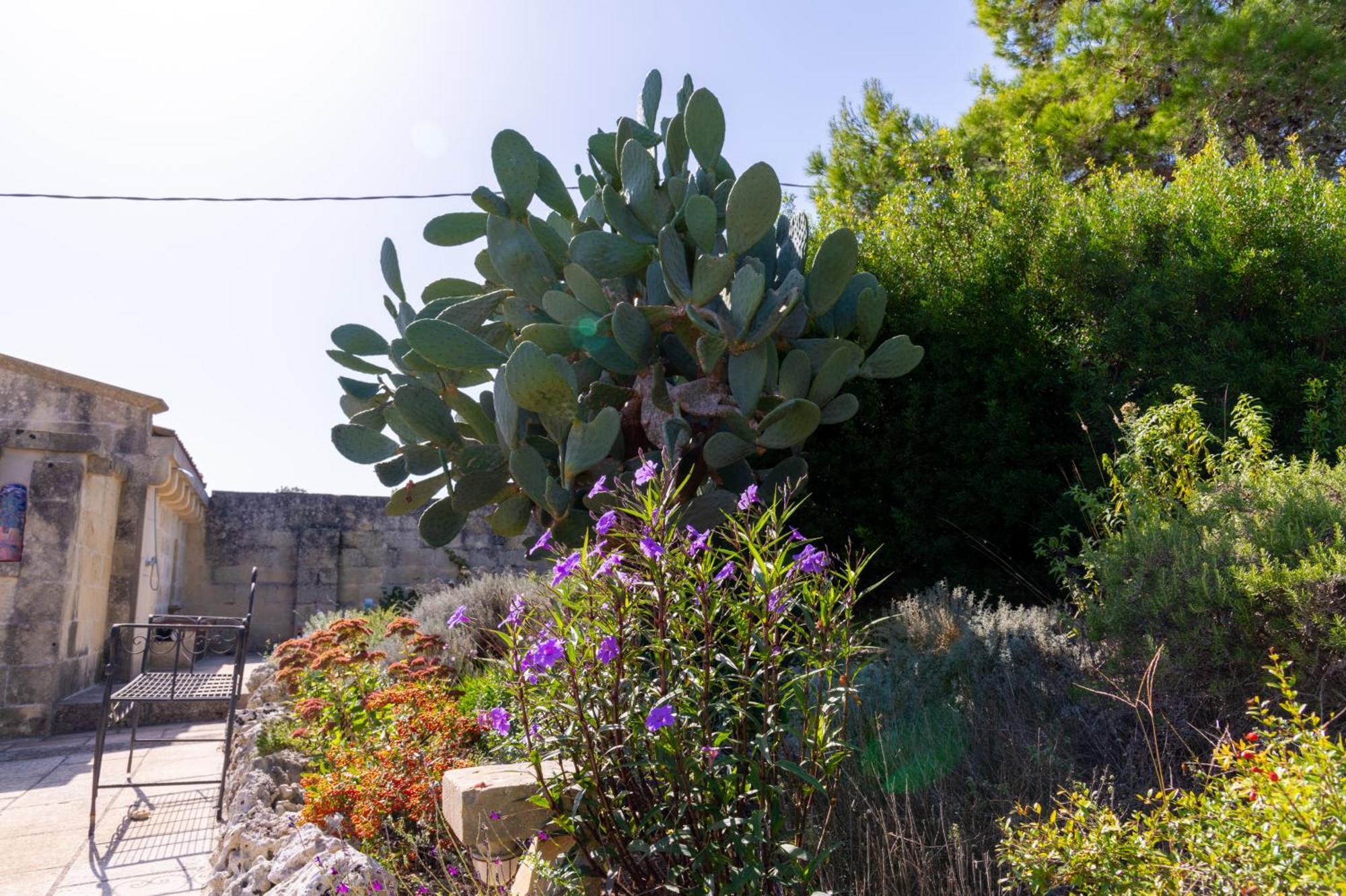 Masseria Caliani 보르가네 외부 사진